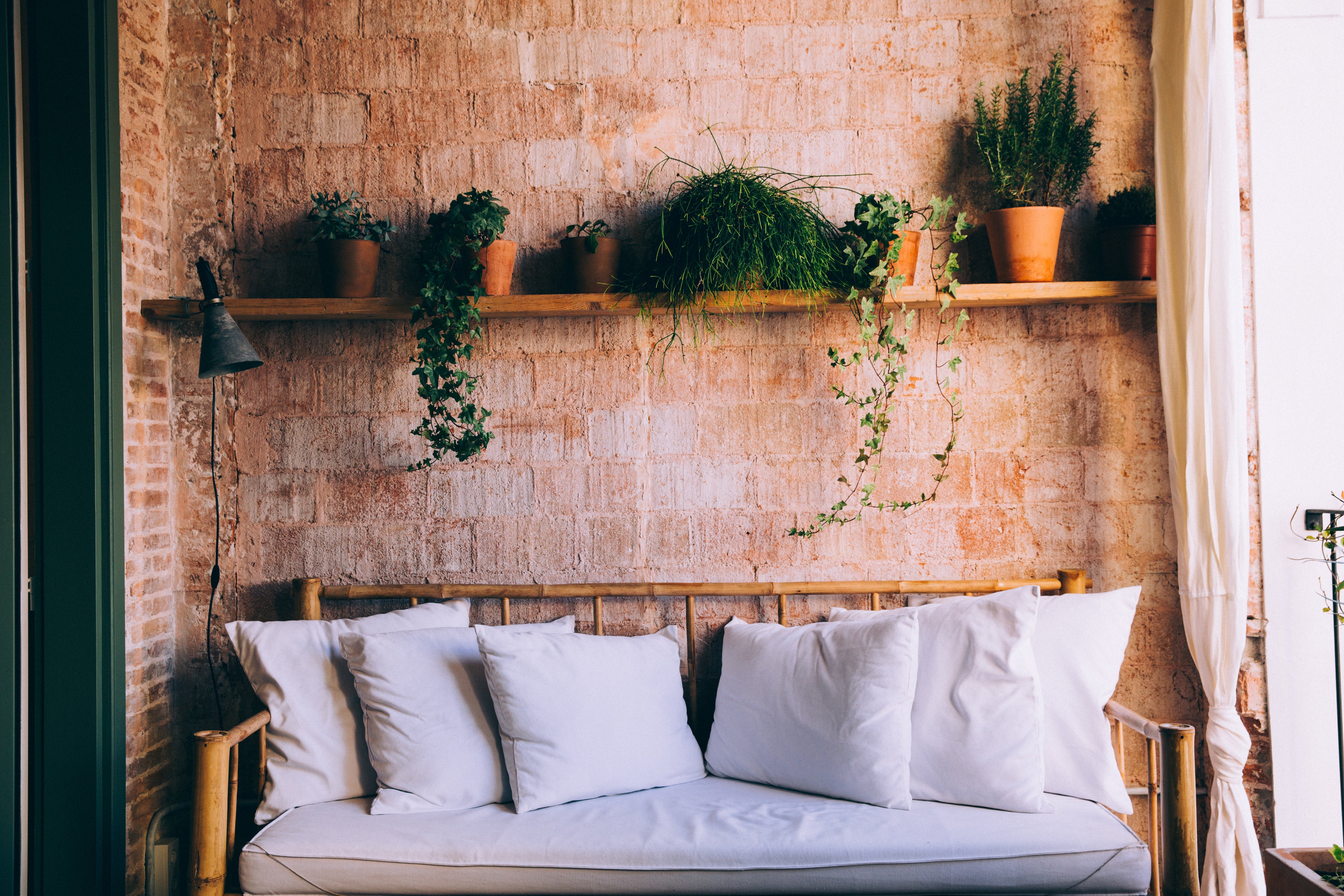 A Quick Guide To Creating An Urban Jungle